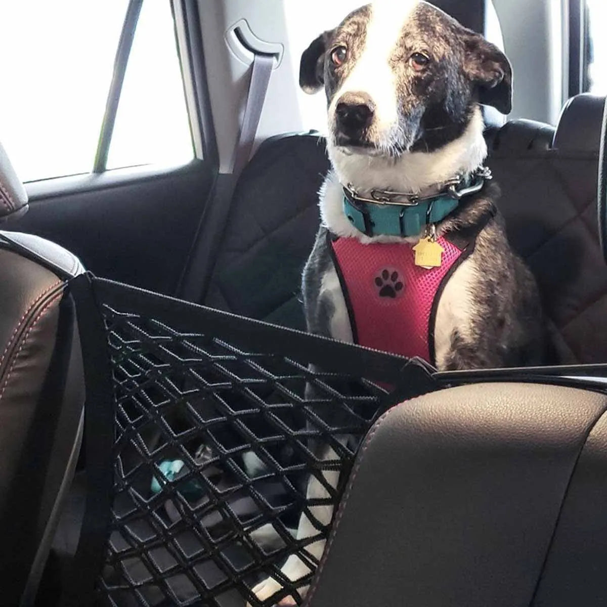 Dog Car Backseat Mesh Barrier – Stretchable Divider